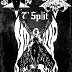 Gravehuffer & Souls of Hades, a match made in Hell for a 7" Split... coming this fall on NoSlip Records.