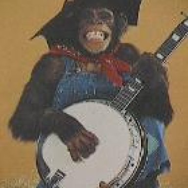 monkey_banjo-140x178