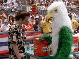 Funny Pictures/GIF's