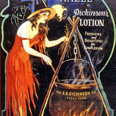 e.e. dickinson co - dickinson's lotion