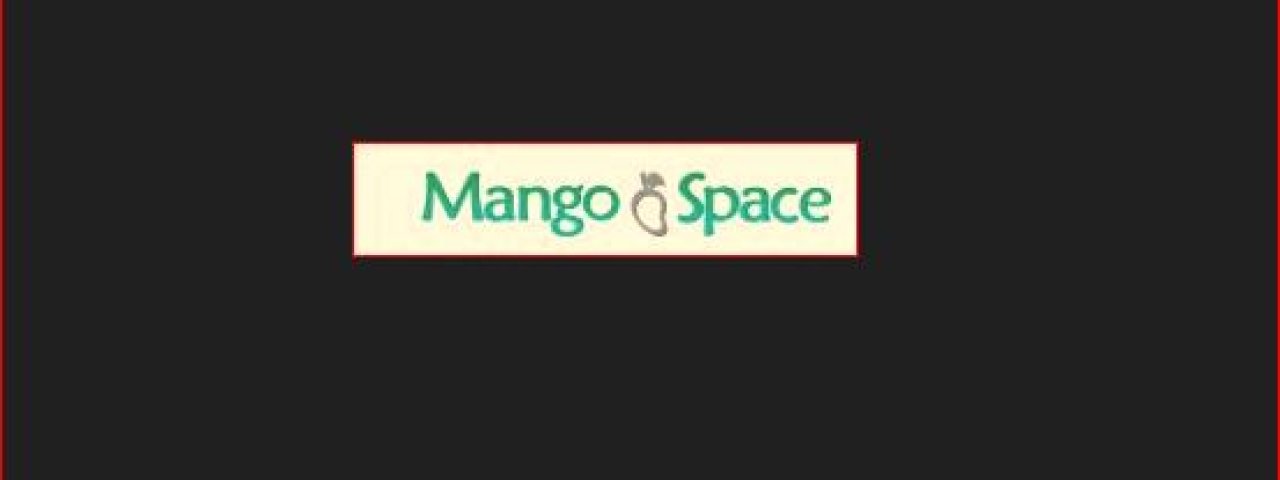 Mango Space Wesley Chapel