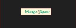 Mango Space Wesley Chapel