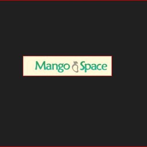Mango Space Wesley Chapel