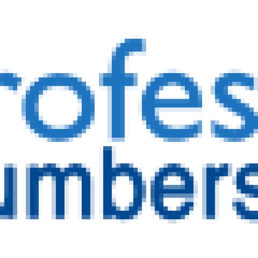 Professional Plumbers Denver