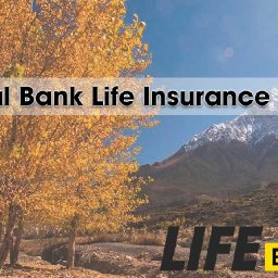 national-bank-life-insurance-review-2025-national-bank-life-insurance-review-2025