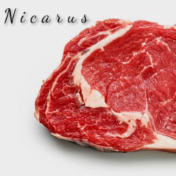 nicarus-flight-of-pegasus