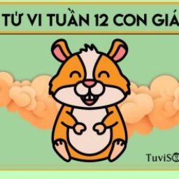 tu-vi-tuoi-ty-tuan-02-11-08-11-hay-tap-trung-hon