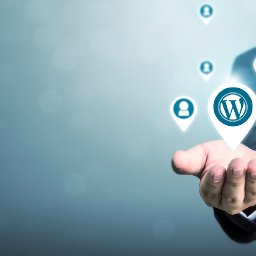 hire-wordpress-developer-india-wordpress-developers-india