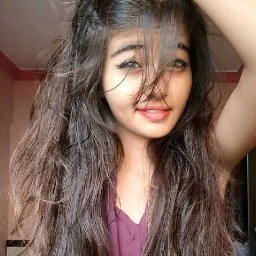 @manvikakkarapki