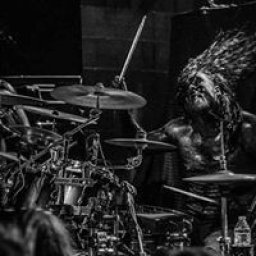 @noah-sharkrobertson