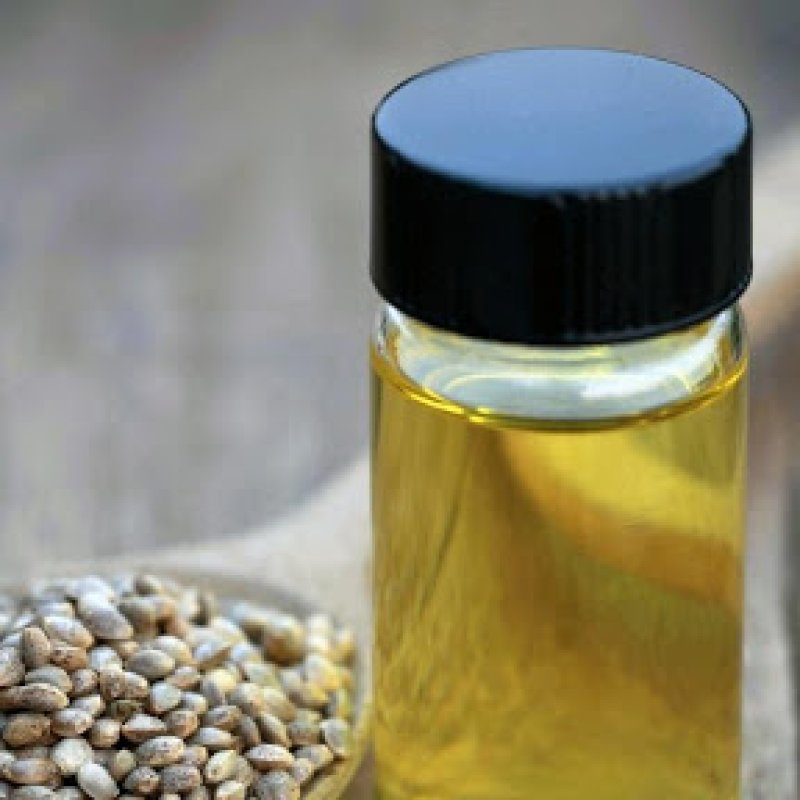 Who Can Use CBD Oil & Which Strains Are Right For You?