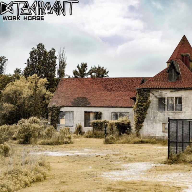 Detachment - "Work Horse" - Featured At Insane Blog!