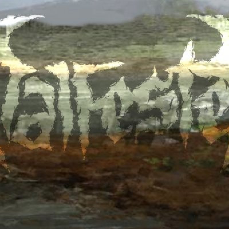 Malfested - Masked With The Skulls Of The Fallen Featured On Metal-O-Mania!
