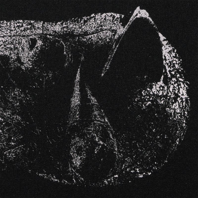 Demon Head reveals details for new album, 'Viscera'; launches video for new single, "The Triumphal Chariot of Antimony"