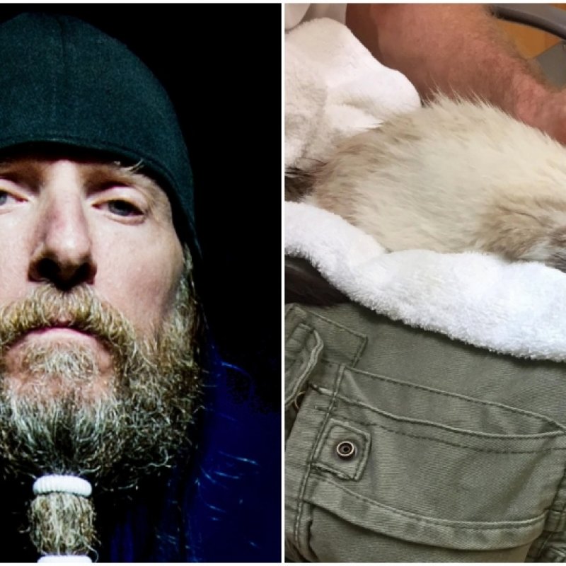 OBITUARY DRUMMER BRAVES HURRICANE IRMA'S WRATH TO SAVE INJURED KITTEN