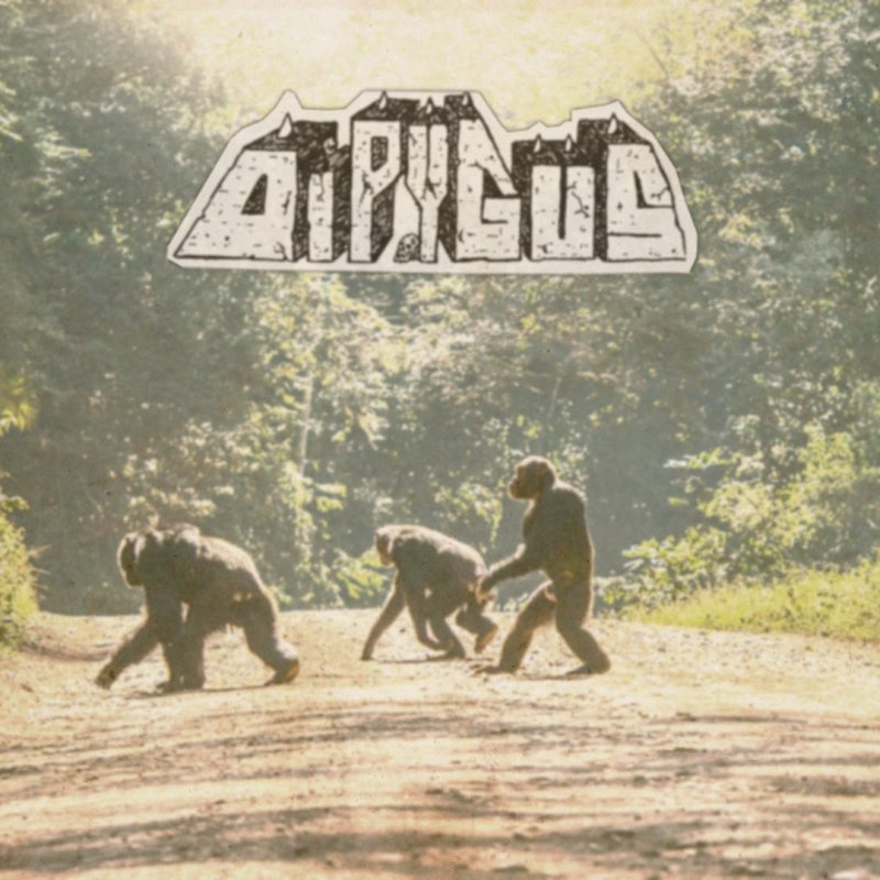 DIPYGUS premiere new track at "Decibel" magazine's website
