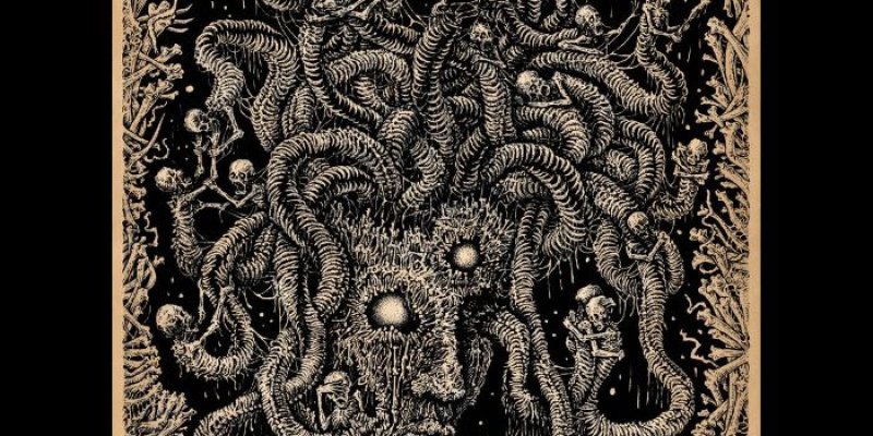 Gravehuffer release "Causes" video