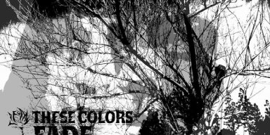 One-Man Post-Hardcore Band THESE COLORS FADE to Release "Contemporary Tragedy"
