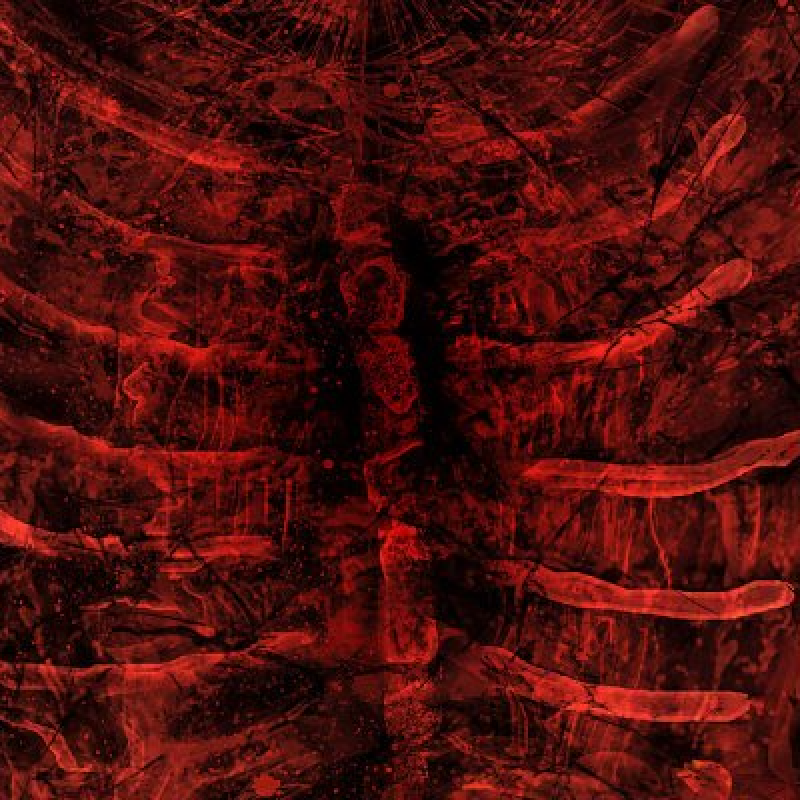 Vile Cynic - Agony - Reviewed By Metal Temple!