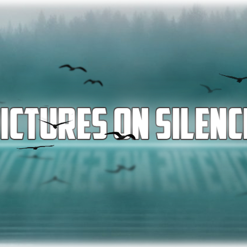 French post-rock/ambient one-man-band Pictures On Silence shared new track from upcoming record with "The So-Called Life" // New S/T EP coming later this month through all streaming services.