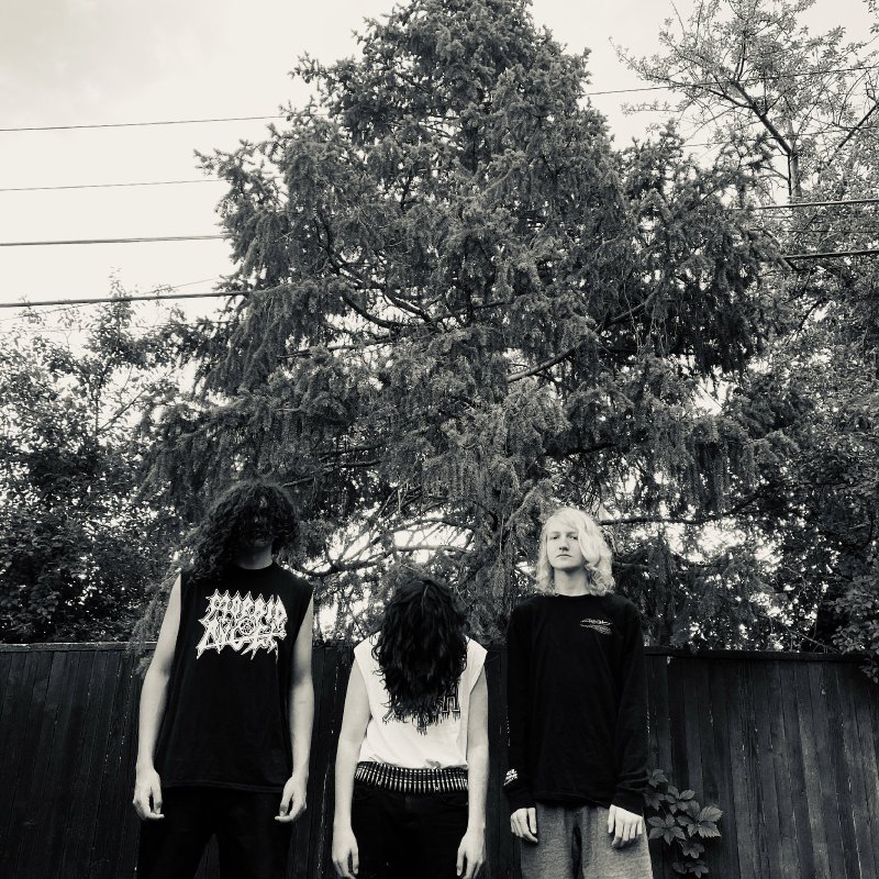 ASTRAL TOMB stream new BLOOD HARVEST EP at "Decibel" magazine's website