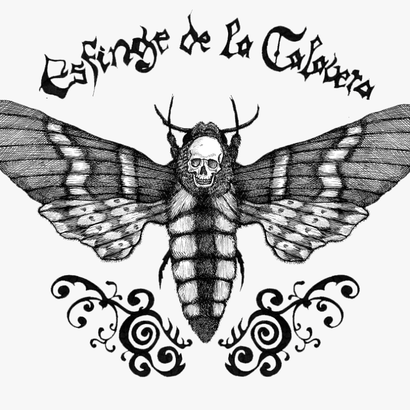 Esfinge de la Calavera | New releases OUT NOW!