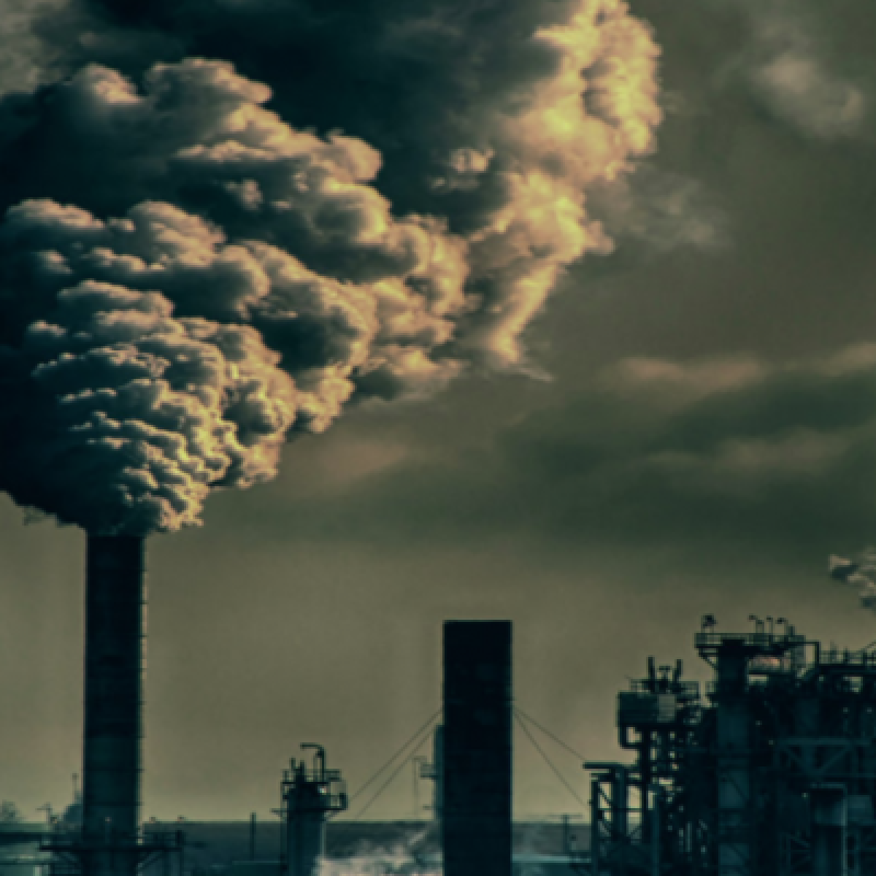 Grizzle - Fly You Fat Bastard - Featured At Bathory'Zine!