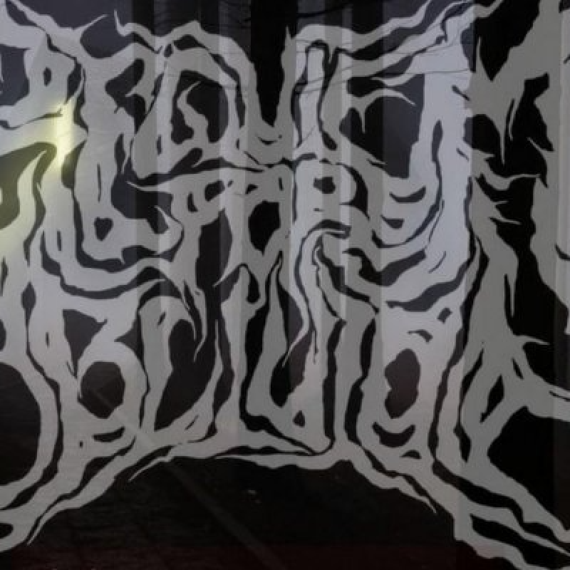 Requiem For Oblivion - Hindsight 2020 - Featured In Bathory'Zine!