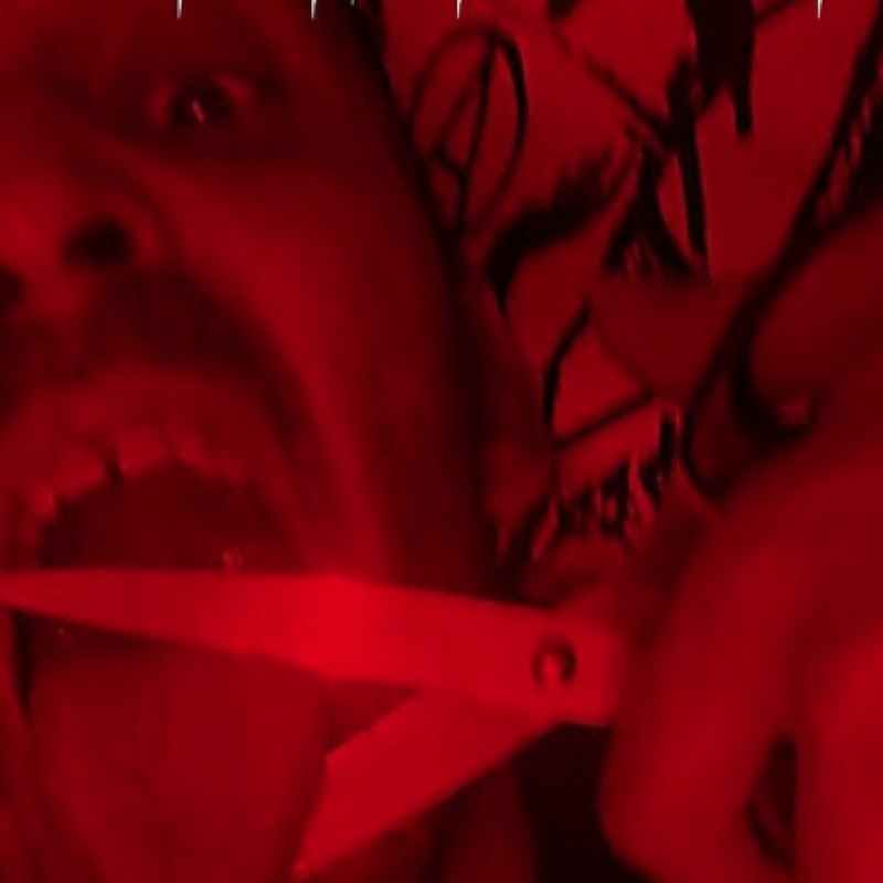 Murder Records announces the latest noise harassment of Disfigured Human Mind