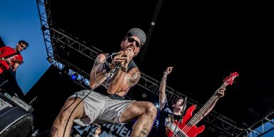 A WILHELM SCREAM: Creator-Destructor Records Reissues Three Albums From Massachusetts Melodic Hardcore Outfit