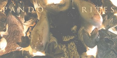PANDO: Invisible Oranges premieres new album "Rites" by US experimental drone/black metal entity