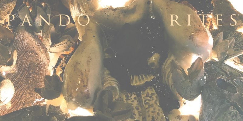 PANDO: Invisible Oranges premieres new album "Rites" by US experimental drone/black metal entity