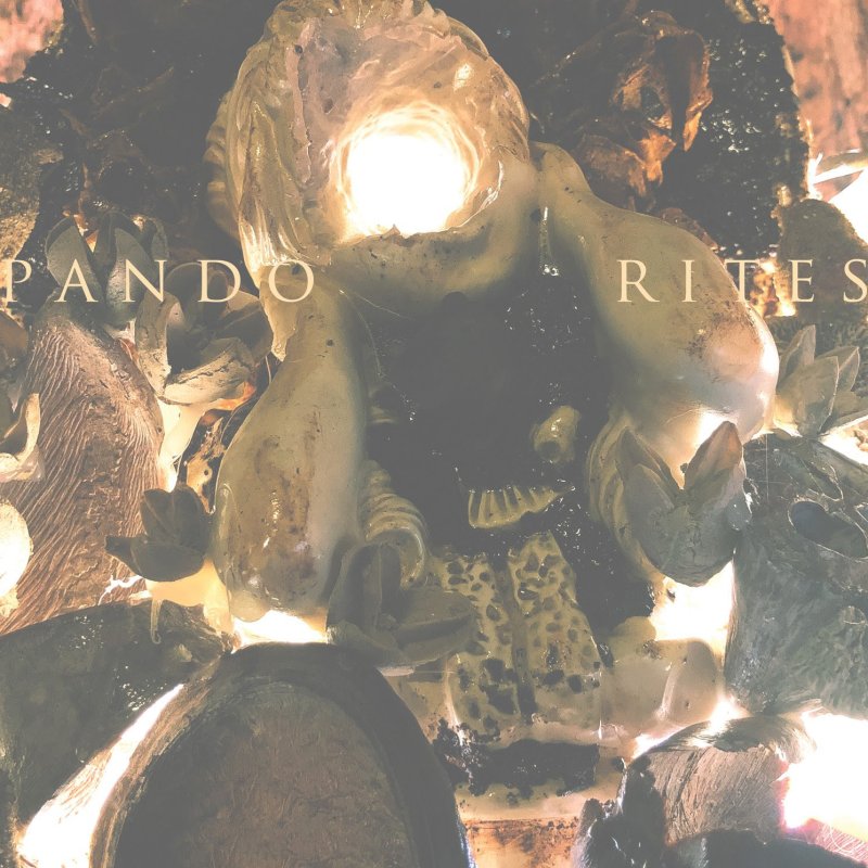 PANDO: Invisible Oranges premieres new album "Rites" by US experimental drone/black metal entity