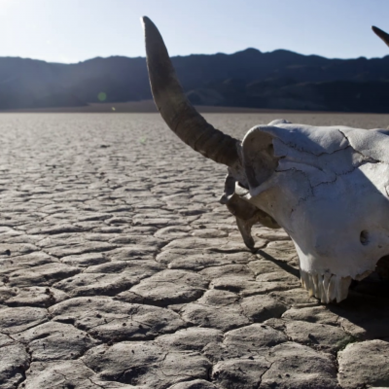 MOTHERFASTER - Streaming At Estación Rock Play List!