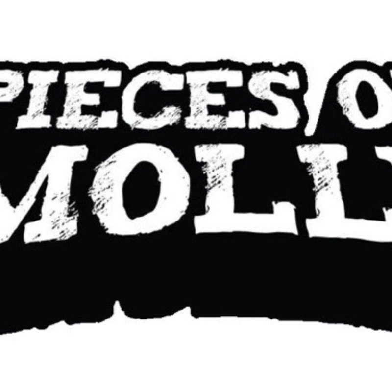 NEW ZEALAND RIFF HYPNOTISTS PIECES OF MOLLY SIGN TO RIPPLE MUSIC, NEW ALBUM COMING LATE 2021