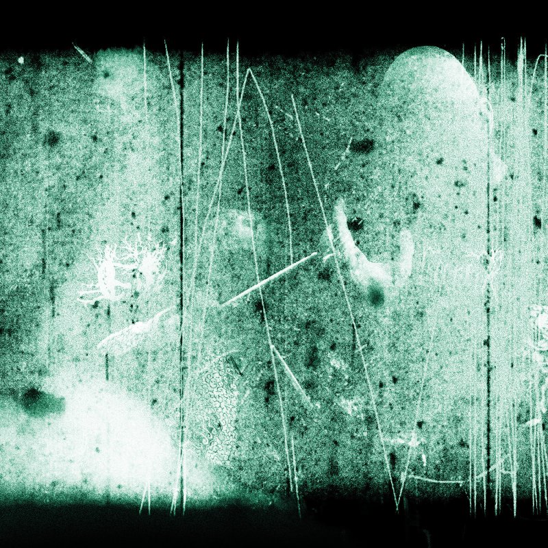 ARCHAEOPTERIS set release date for PERSONAL RECORDS / VOID WANDERER debut EP, reveal first track - features members of CROC NOIR, SUPERTZAR+++
