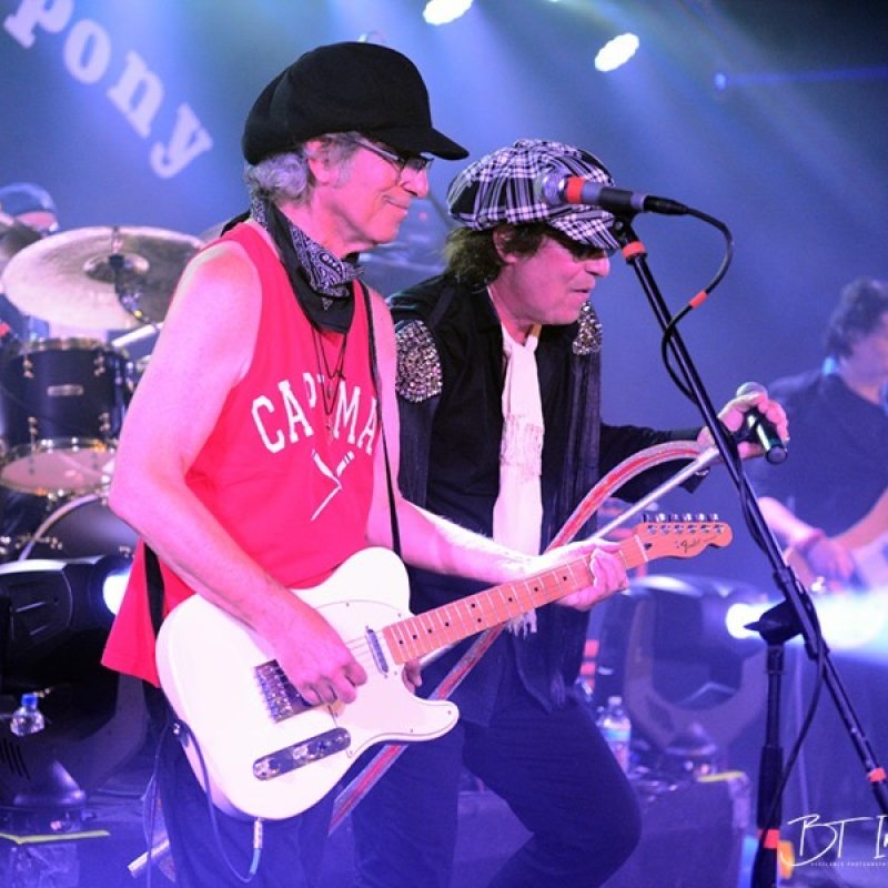 THE NEW BARDOTS | INTERVIEW