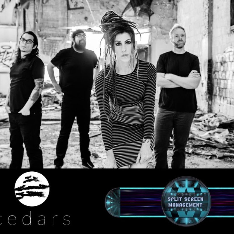 CEDARS Sign With Split Screen Management, New Album "Cowards" Out June 11th!