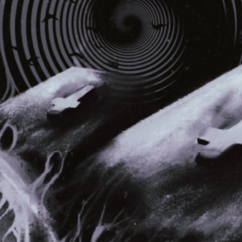 Jamart - Wanted Dead - Featured At Arrepio Producoes!