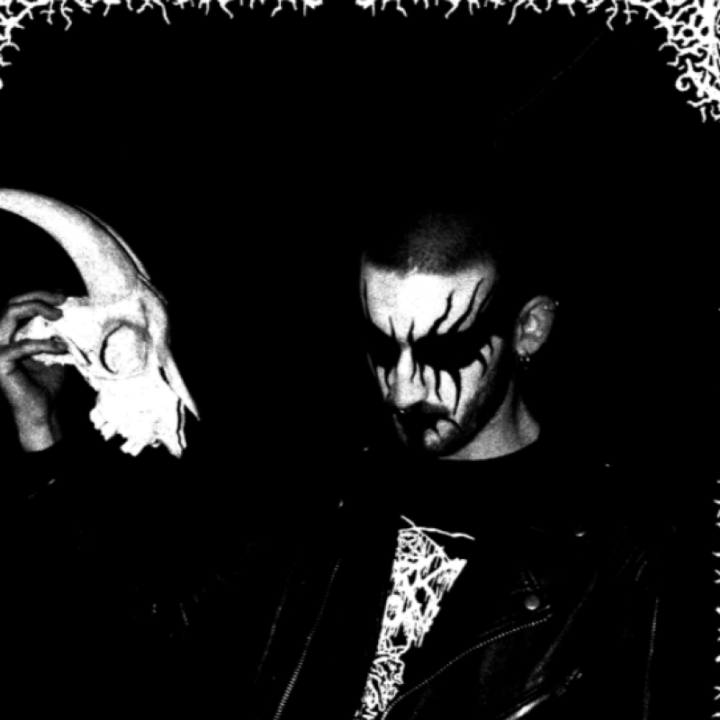 ARNA: new promo materials from SIGNAL REX