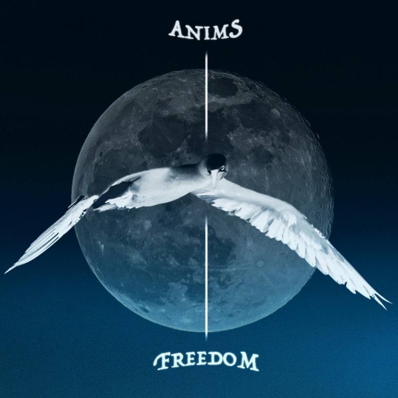 ANIMS: FIRST SINGLE 'FREEDOM' OUT TODAY