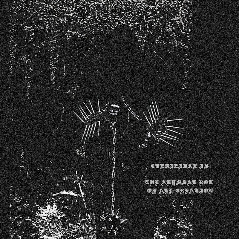 CTENIZIDAE: new promo materials from NEBULAR CARCOMA