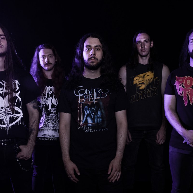 CRYPT CRAWLER: new promo materials from BITTER LOSS