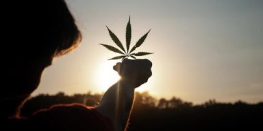 8 Facts You Didn't Know About Cannabis