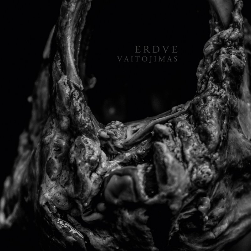 ERDVE deliver the soundtrack to a world gone truly mad.