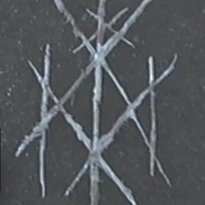 Black Metal Trio Wiegedood New Album 'There's Always Blood At The End Of The Road' Out This Friday!