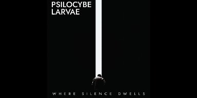 New Promo: PSILOCYBE LARVAE - Where Silence Dwells -  (Doom/Death/Dark/Progressive Metal)
