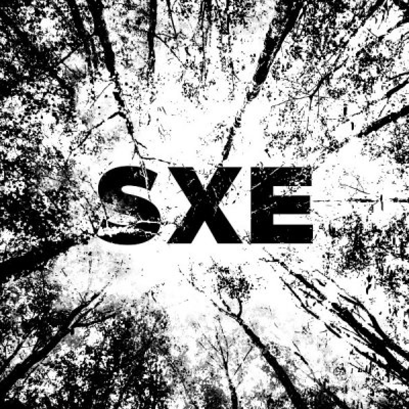  Alfa Bravo - SXE E.P. - Reviewed By Metal Digest!