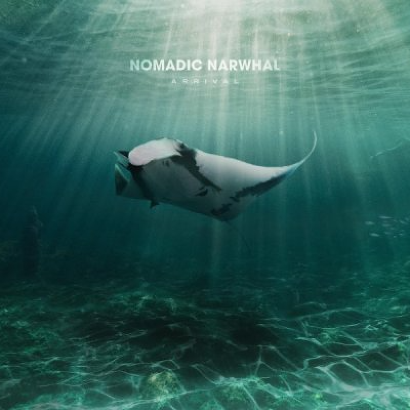 Nomadic Narwhal - Arrival - Reviewed by Jenny Tate!