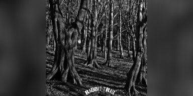 New Promo: Rabbit Trail - Self Titled - (Punk, Post Rock, Sludge, Folk)